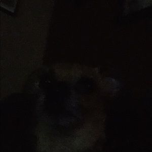 Meet your Posher, Jacob